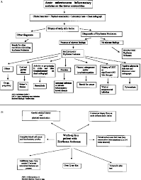 Image result for erythema nodosum