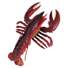 We did not find results for: Buy Antilog Lobster Toy Simulation Soft Plastic Lobster Model Seafood Restaurant Prop Decoration Kids Children Toy Dark Color 1 Online In Turkey B07wr697qk
