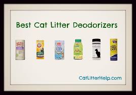 Best Cat Litter Deodorizer Catlitterhelp Com