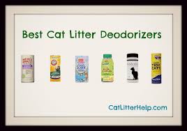 best cat litter deodorizer catlitterhelp com