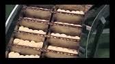 Karipap roti gardenia mudah dan senang. Gardenia Corporate Video Youtube