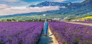 Maybe you would like to learn more about one of these? 14 Taman Bunga Paling Indah Di Dunia Yang Wajib Kamu Kunjungi