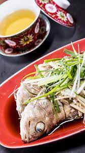 Video Video Kerapu Steam Hongkong Resep Resep Resep Masakan Cina Resep Masakan Resep Makanan Sehat