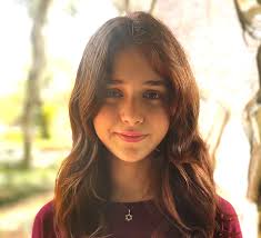 Life imitates art: Servant of the People