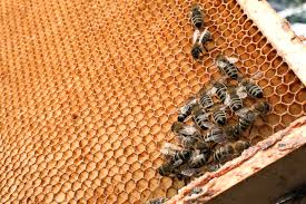 In this post there is the complete list of daily prompts and a brief explanation for each theme. Cw8j7 Epyyyxgm