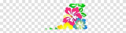 Watercolor tropical flower pattern design. Hawaiian Flower Clip Art Three Flowers Plant Floral Design Pattern Transparent Png Pngset Com