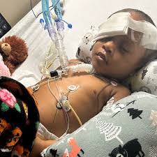 Fundraiser by LaDorothy Griggs : 3 year old survives gun shot to the head.