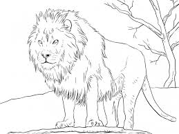 Completeaz tabelul de mai jos cu numrul corespunztor. Desene Cu Animale Salbatice De Colorat Imagini È™i PlanÈ™e De Colorat Cu Animale Salbatice