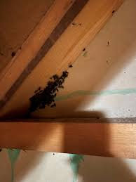 Image result for site:byggahus.se inneklimat