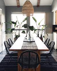 Bird Of Paradise Plant Decor Indoor Birds Of Paradise Birds Of Paradise Plant