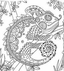 Find more coloring pages online for kids and adults of lizard mandala animal coloring pages to print. 120 Bugs Frogs Lizards To Color Ideas Coloring Pages Colouring Pages Coloring Books