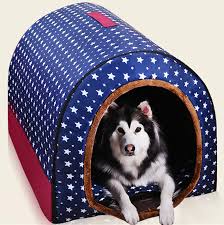 Fondly called goldens, these retriever dogs are one of the most popular pets in the world. High Quality Big Dog House Can Be Completely Cleaned Pet Kennel Portable Dog House Golden Retriever Kennel Puppy Pet Cat Dog Bed Houses Kennels Pens Aliexpress