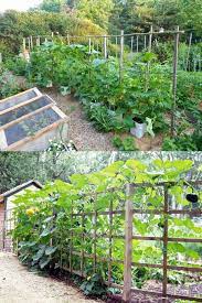 I've always grown them on a trellis because i didn't want them taking up too much room. 15 Easy Diy Cucumber Trellis Ideas A Piece Of Rainbow