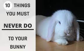 In the first weeks after baby's birth, keeping your little one clean can seem like the least of your worries. 10 Things You Must Never Do To Your Bunny Not So Secret Me