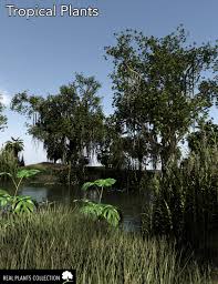 Artificial palm plants leaves faux turtle leaf fake tropical large palm tree leaves imitation leaf artificial plants for home kitchen party flowers arrangement wedding decorations. Rpc Volume 3 Tropical Plants Daz 3d