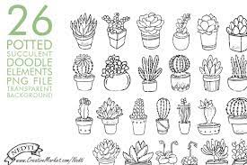 Cactus in vintage style 596x843 learn how to draw cactus from plants vs. Potted Succulent Cactus Hand Drawn How To Draw Hands Succulents Drawing Succulents