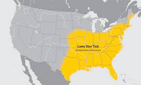 Meet The Tick That S Forcing Americans To Give Up Their Meat Grist
