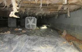 What causes crawl space and basement odors? Remove Musty Smell From House Residential Odor Removal Services Remove Musty Smell Crawlspace Crawl Space Storage Odor Remover