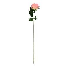 Stems have milky juice bloom time is late july to october about 50 stem leaves, larger and denser near the bottom and getting Buy Large Open Artificial Roses Single Stem Flowers Wedding Home Fake Silk Online In Vietnam 152819260338