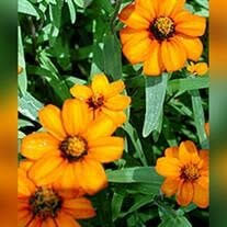 Mary Rosie Coffman Obituary