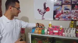 Tyson Guvercin Saglik Urunleri Genel Guvercin Hastaliklari Ve Tedavi Yontemleri 2 Youtube