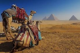 tourism companies in egypt