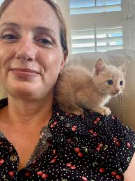 SNEAK PEEK!!! THIS SATURDAY IS THE BIG DAY! **BIG NEWS.. we will be doing  our Kitten Mingle (adoption events) EVERY SATURDAY ❤️❤️❤️ 2 for 1 KITTEN  ADOPTIONS!!! All kittens are adopted two