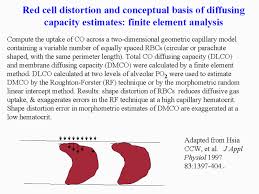 Image result for Diffusing Capacity