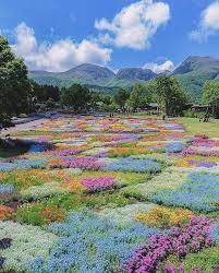 Pin By Lynn B On Floral In 2020 Nature Aesthetic Nature Scenery