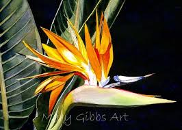 Bird Of Paradise Watercolor Http Marygibbsart Com Flowers Html Bird Of Paradise Floral Painting Flower Painting Floral Watercolor