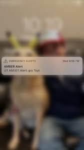 Put her in a room with 10 good men and one creep, she will run right … read more Twitter Has Fun With Gry Toyt Error In Utah Amber Alert Abc4 Utah