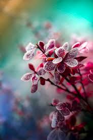 All of then are high quality and high definition with an astounding resolution of 1920x1080. Hd Wallpapers Hdwallpapers265 Twitter