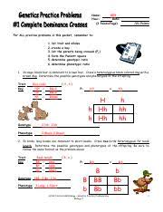 Dihybrid crosses, this will help you complete the questions below. Biology Work May 4 8 Stephen Falkner Name Date Monohybrid Mice Directions Solve Each Problem Showing Your Work In The Punnett Square For Each Course Hero