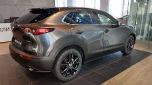 Image result for Polymetal Gray 2024 MX-30