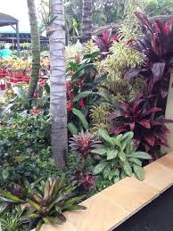 Gold Coast Nursery Garden Bed Tropical Backyard Landscaping Backyard Landscaping Tropical Landscaping