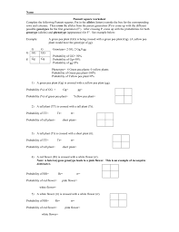 Solve the quadratic equations by completing the square: Punnett Square Worksheet