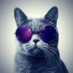 обои на телефон с надписью не трогай мой телефон Imagen Descubierto Por Nadinoo Descubre Y Guarda Tus Propias Imagenes Y Vid Funny Phone Wallpaper Phone Wallpaper Images Dont Touch My Phone Wallpapers