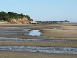 The Beach At Low Tide Picture Of Indian Neck Beach