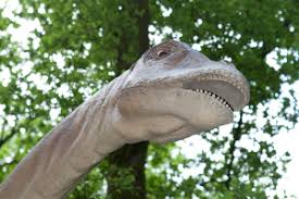Bewonder meer dan honderd verschillende soorten dieren, ontdek de dino's in het dinopark en. Dinopark In Dierenpark Amersfoort Ruim 70 Levensechte Dinosaurussen