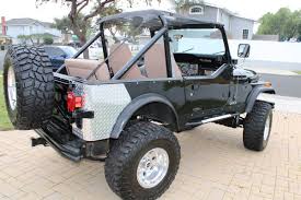 Image result for Classic Black 1985 AMC