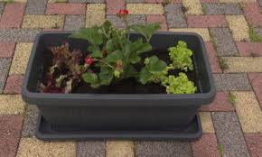 Dijete predškolske dobi pokazuje neograničenu motivaciju za upoznavanjem i istraživanjem neposredne okoline i svega što ga okružuje te su im vrlo zanimljivi poticaji iz prirodnog okoliša. Ur Hbyhuxu9mim