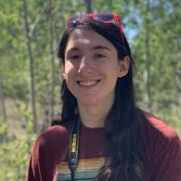 70+ "Brodsky" profiles