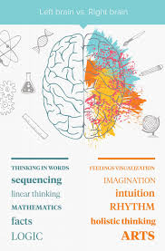 Left Brain Vs Right Brain What S The Difference Brain Facts Left Vs Right Brain Right Brain
