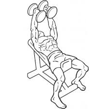 We did not find results for: Hammer Grip Incline Dumbbell Bench Press Gymwolf