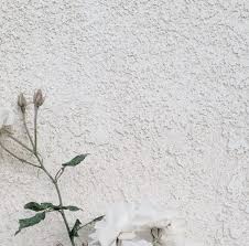 Gini nih akibatnya kalo keseringan nonton motogp :d. Background Bunga Rustic Bunga Keren White Aesthetic Tumblr Flower Hd Wallpapers Source Www Elsetge Cat 102 Best Wallpaper Bunga Gambar Bunga Bunga Dahlia