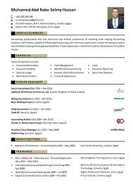 Ahmed Almaharby junior accountant CV