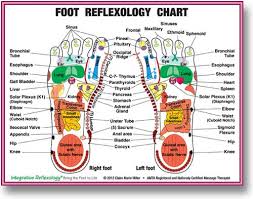 Integrative Reflexology With Claire Marie Miller Massage