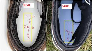 Who's recently done everything from starting an agriculture program in elementary schools to teaming up with houston's arts and parks. Fake Travis Scott 1 08a988