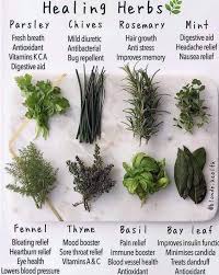 Healing Herbs In 2020 Magical Herbs Herbs Medicinal Herbs