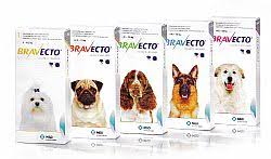 new flea tick medication by merck just approved bravecto